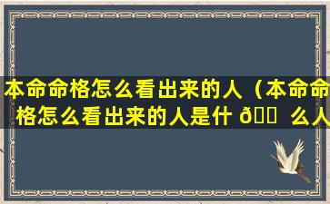 本命命格怎么看出来的人（本命命格怎么看出来的人是什 🐠 么人）